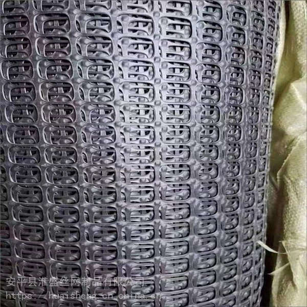 黑色方格魚塘圍欄網(wǎng) 3公分塑料防護(hù)網(wǎng) 圈果園菜園護(hù)欄網(wǎng)泓宸輝